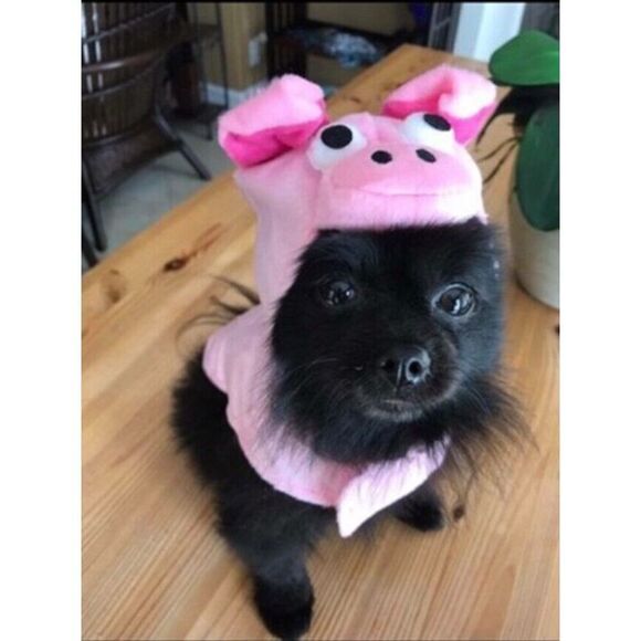 Pet Shop Pig Hat Pet Costume Animal Sz XSMALL Dog Clothes Halloween Pink - Picture 5 of 6